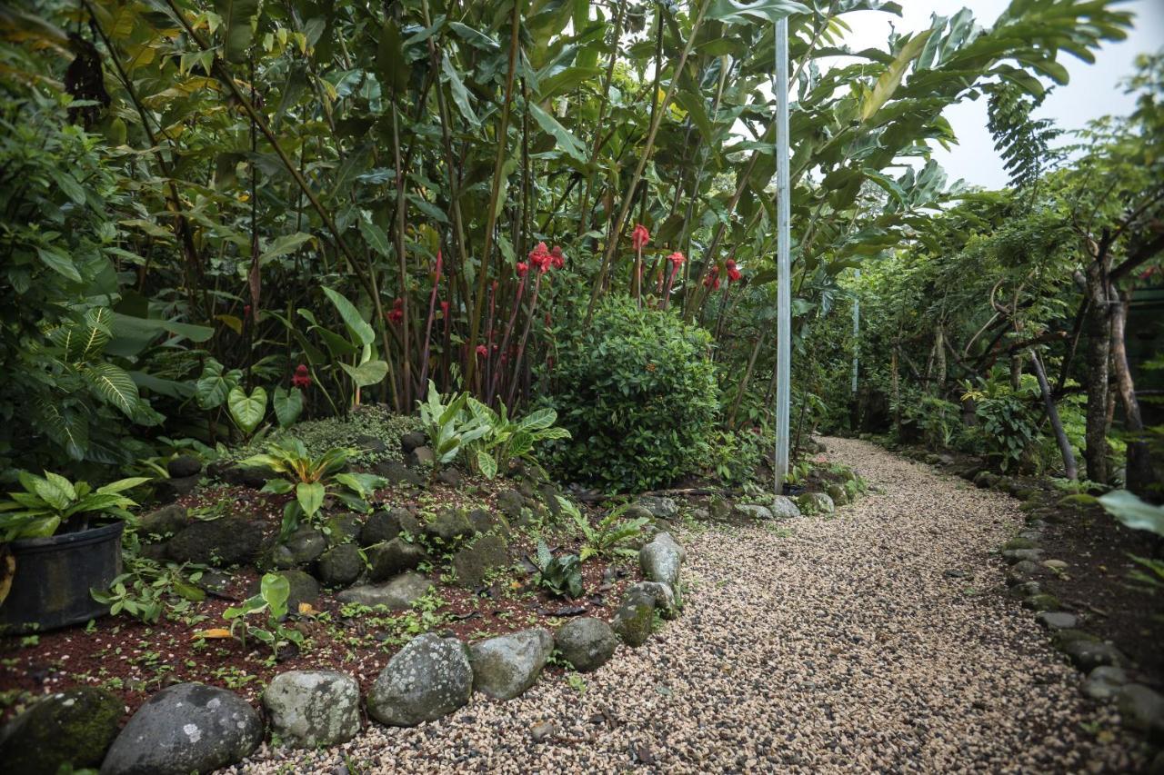 Cabañas del Rio La Fortuna Exterior foto